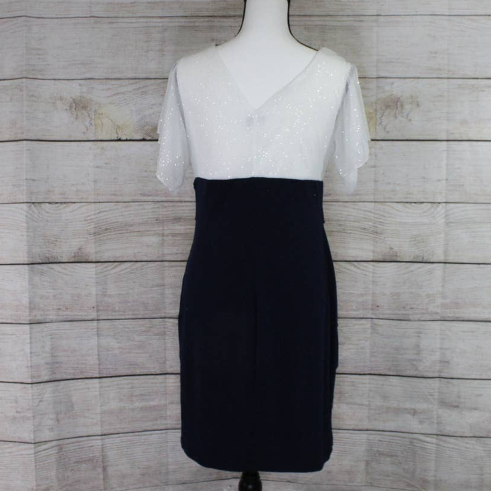 En Focus Dress